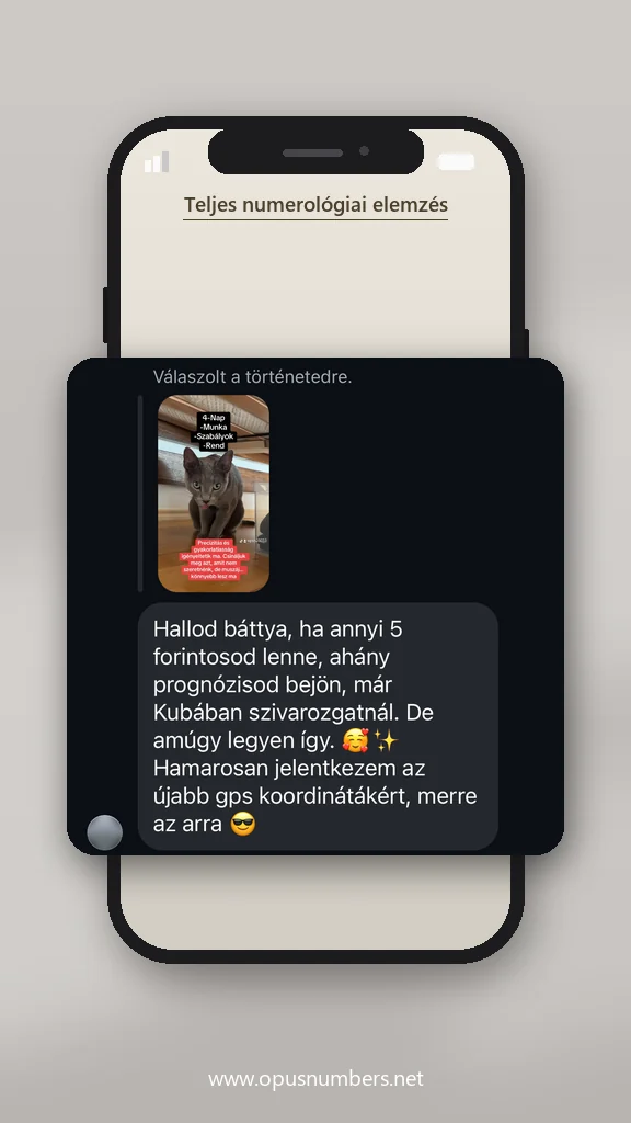 Ügyfélvélemény a numerológiai elemzésről (üzenet képernyőképe) – 24. / 38
